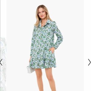 Tuckernuck shirt dress
